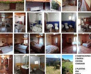 Garden of Country house for sale in Monterroso