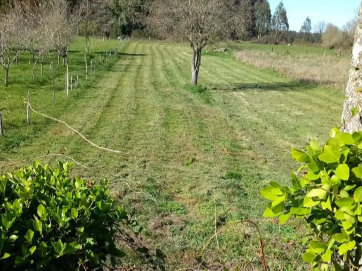 Finca rústica en venta en Lugar Villamaior, 8, Monterroso Finca rústica en venta en Monterroso con Calefacción, Jardín privado y Amueblado