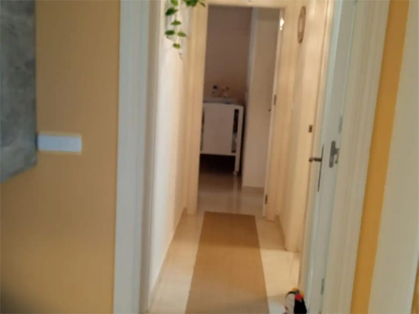 Flat for sale in Calle Joaquín Escobar, 121, Puerto de Garrucha Flat for sale in Garrucha with Private garden, Terrace and Swimming Pool