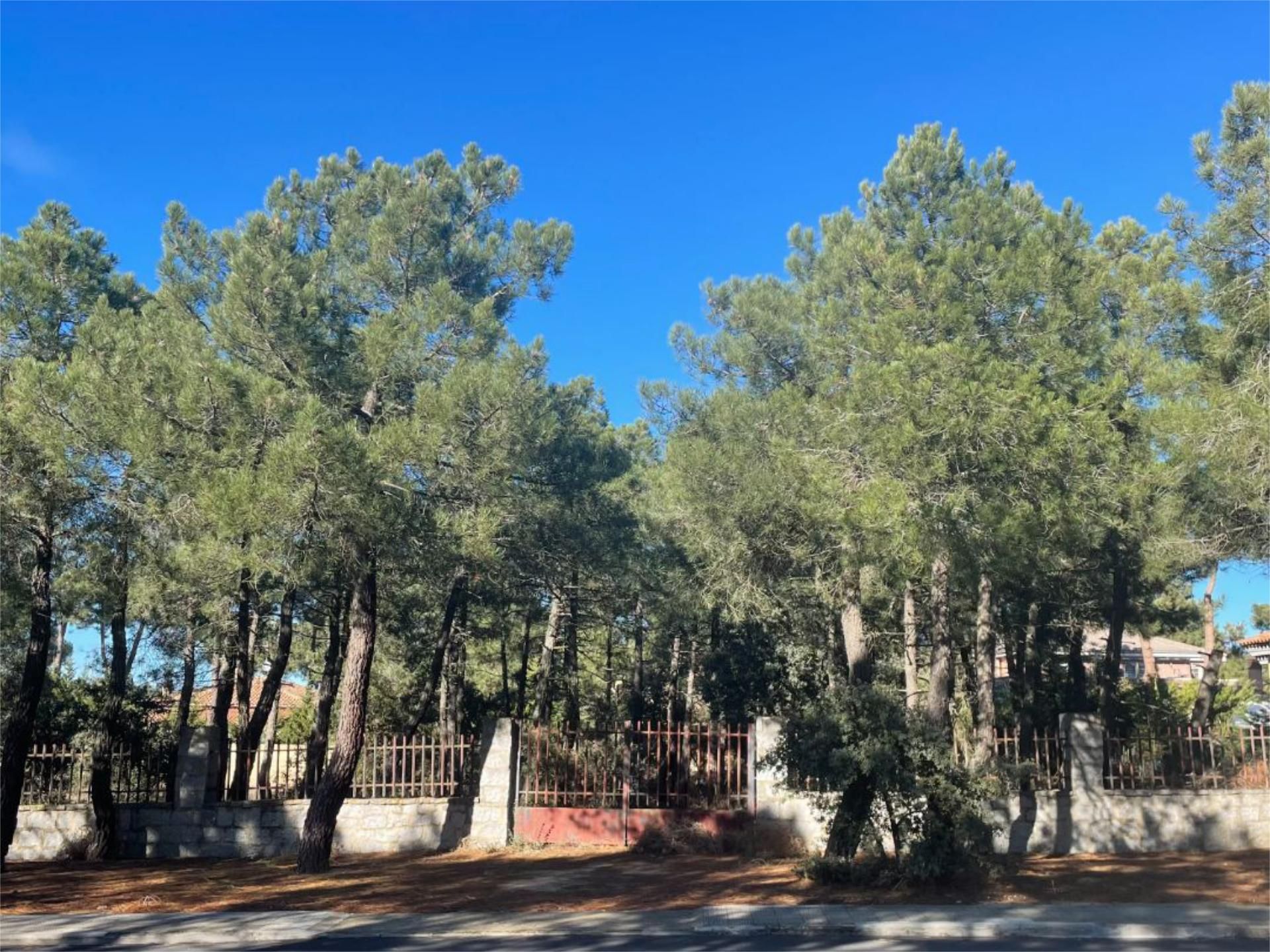 Constructible Land for sale in Alba de Tormes