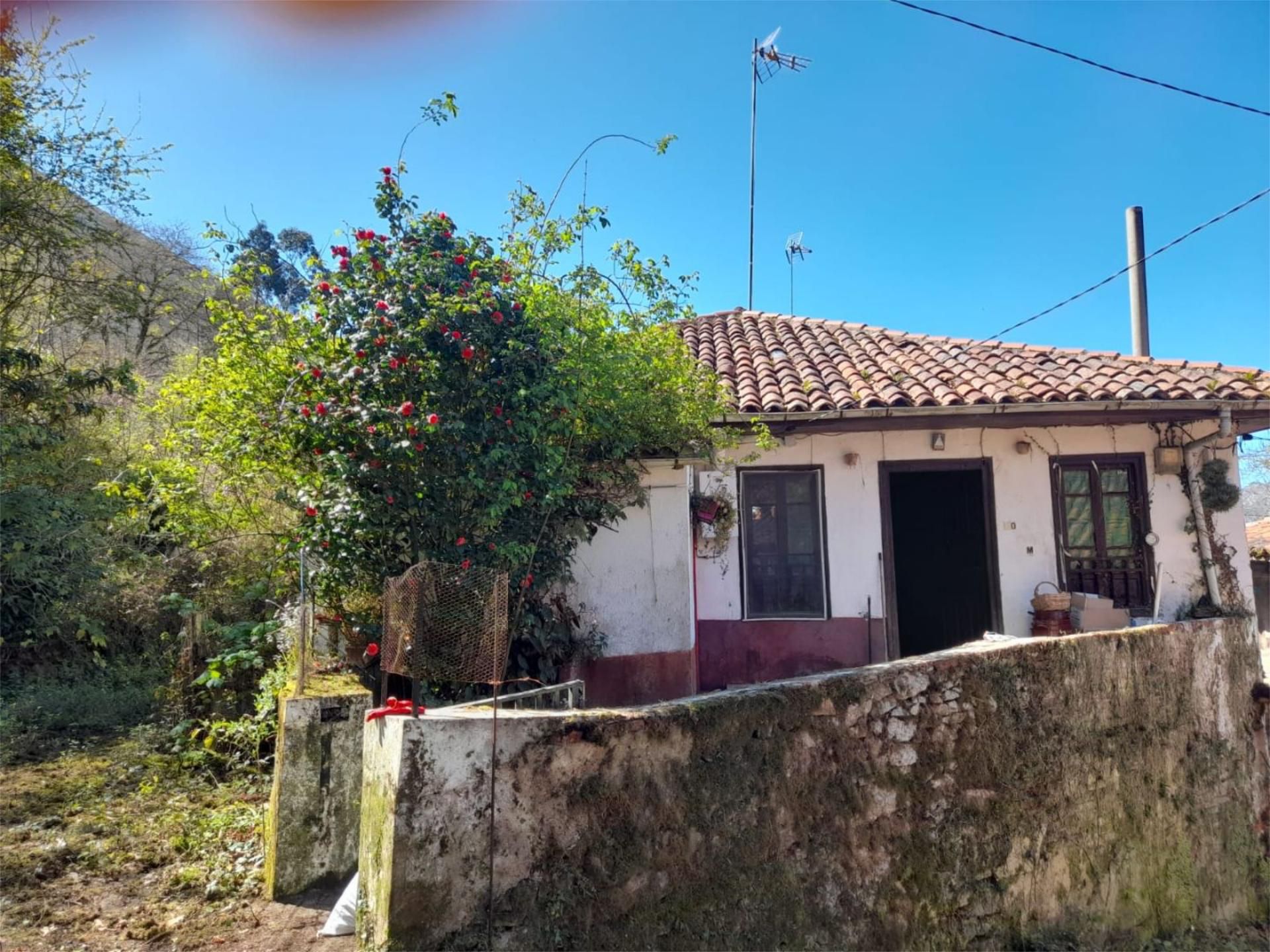 Exterior view of Single-family semi-detached for sale in Llanes