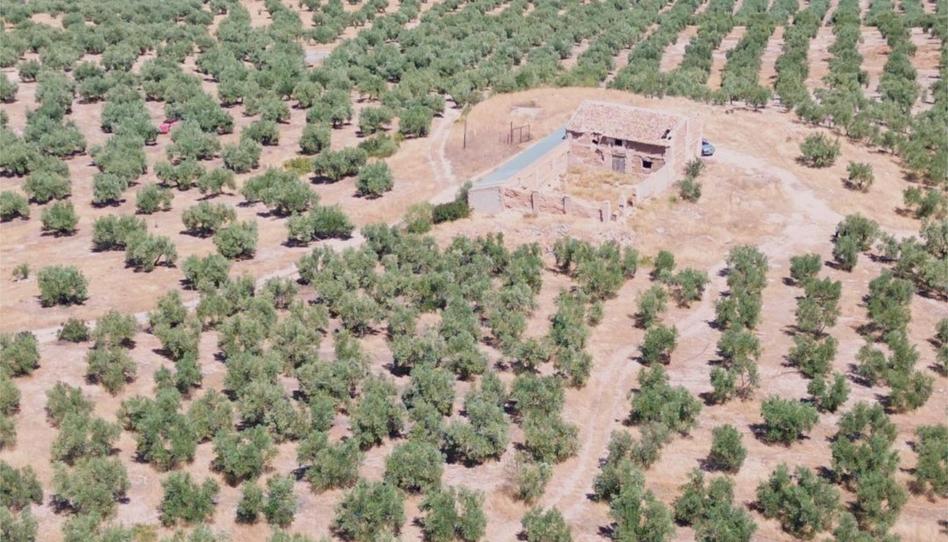 Land for sale in Avenida de Andalucía, 52, Peñamefecit - Avda Barcelona, Jaén - image 1 Photo 1 of Land for sale in Avenida de Andalucía, 52, Peñamefecit - Avda Barcelona, Jaén