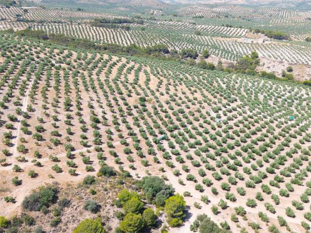 Terreno en Venta en Avenida de Andalucía, 52 en Peñamefecit - Avda Barcelona