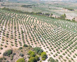 Land for sale in  Jaén Capital