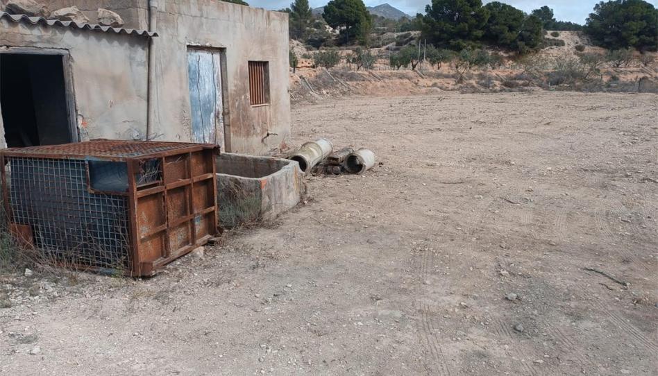 Foto 1 de Finca rústica en venda a Partida Sarganella, 140, Agost, Alicante