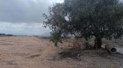 Foto 2 de Finca rústica en venda a Partida Sarganella, 140, Agost, Alicante