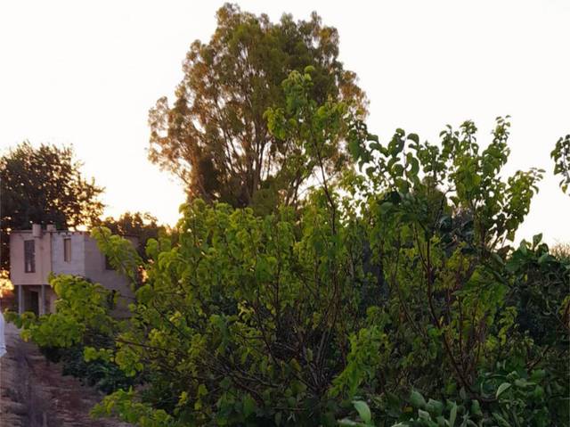 Terreno en Venta en Correntias Bajas I, 97 en Molins - Campaneta - San Bartolomé