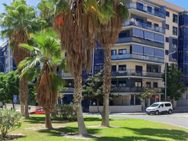 Piso en Alquiler en Camino del Jardin Botanico, 1 en Barrio de Ciudad Jardín