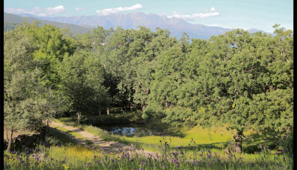 Foto 1 de Residencial en venta en Ex-203, 3, Valverde de la Vera, Cáceres