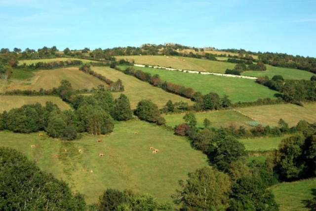 Terreno en Venta en Lugar Pedreira, 2 en Cesuras