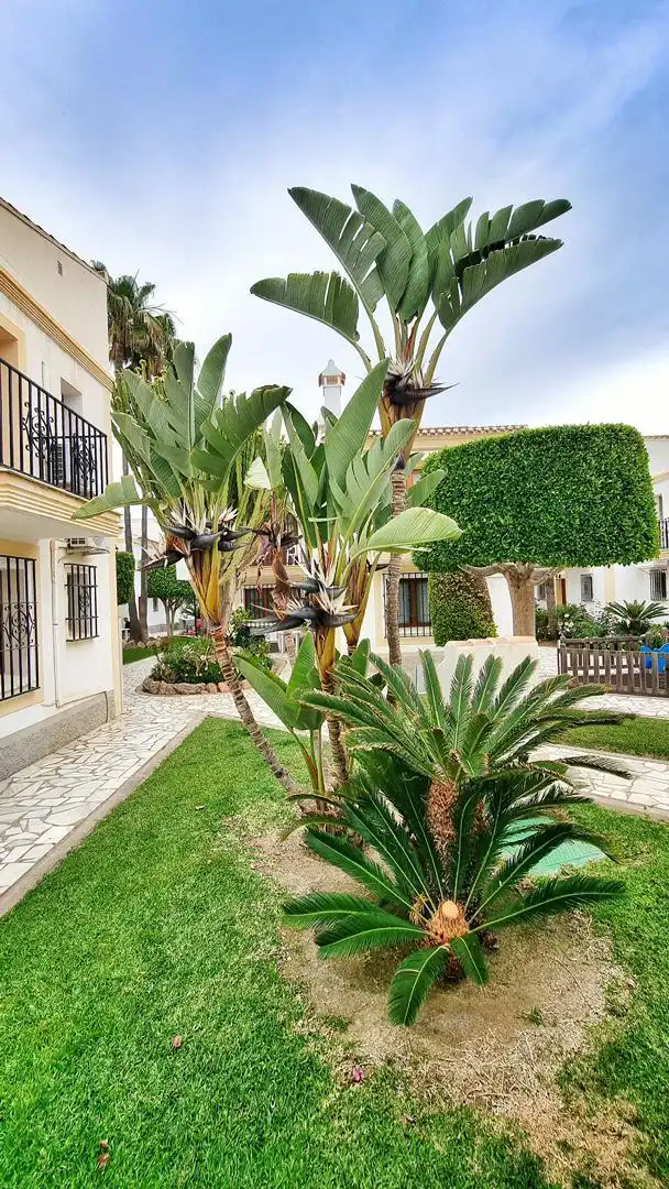 Wohnungen zum Verkauf in Avenida Juan Sebastián Elcano, 7264, Las Marinas - Pueblo Laguna Garten von Wohnungen zum Verkauf in Vera mit Klimaanlage, Terrasse und Schwimmbad