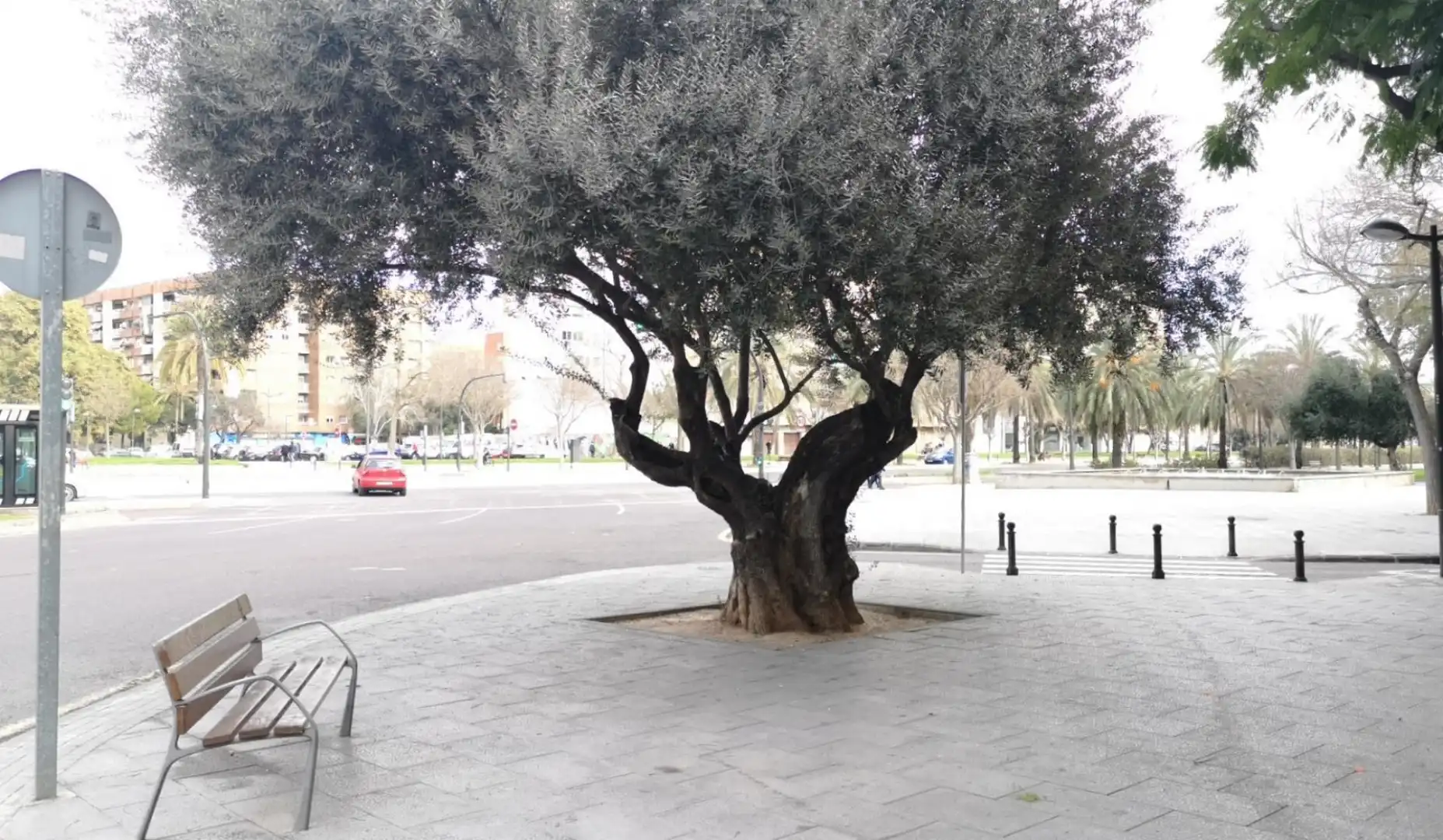 Habitación en Avinguda del Doctor Tomàs Sala, 12, Sant Marcel.lí