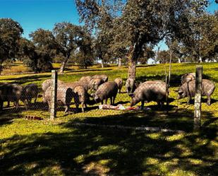 Außenansicht von Grundstücke zum verkauf in Villanueva de Córdoba