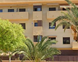 Flat to share in Carrer Albello, 2, El Palmeral - San Antón