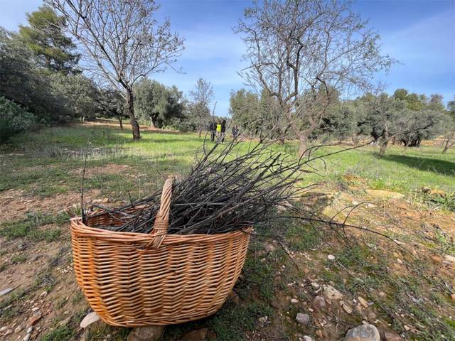 Terreno no urbanizable en Venta en Calle San Miguel, 6 en Valjunquera