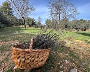 Exterior view of Non-constructible Land for sale in Valjunquera