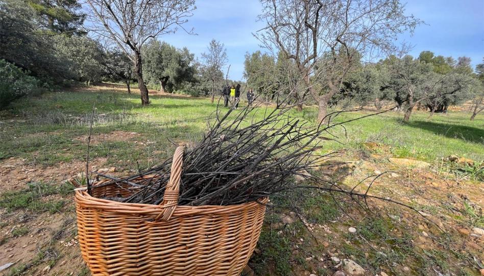 Non-constructible Land for sale in Calle San Miguel, 6, Valjunquera, Teruel - image 1 Photo 1 of Non-constructible Land for sale in Calle San Miguel, 6, Valjunquera, Teruel