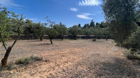 Non-constructible Land for sale in Calle San Miguel, 6, Valjunquera, Teruel - image 3 Photo 3 of Non-constructible Land for sale in Calle San Miguel, 6, Valjunquera, Teruel