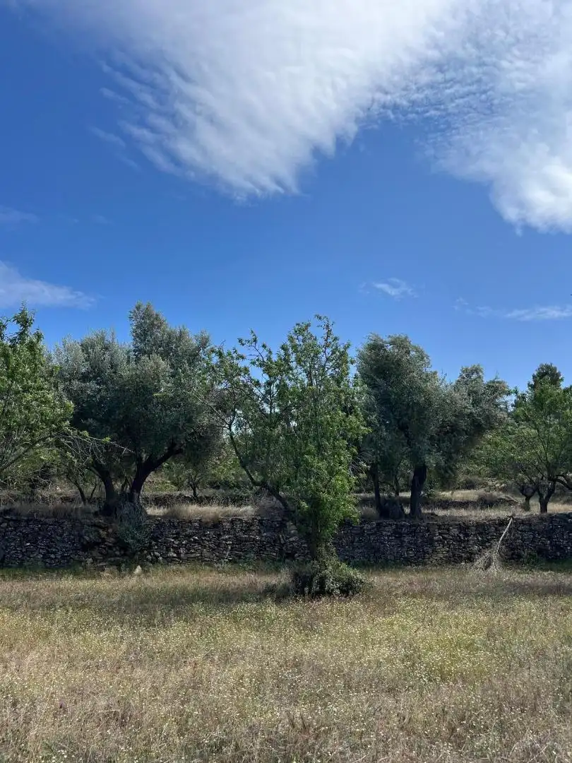 No Urbanitzable en venda en Valjunquera
