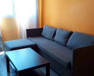 Living room of Flat for sale in Plasencia  with Air Conditioner, Terrace and Balcony