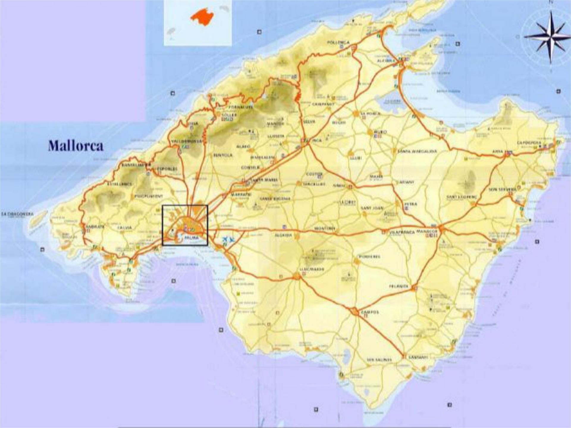 Vista exterior de Casa o xalet en venda en  Palma de Mallorca amb Piscina