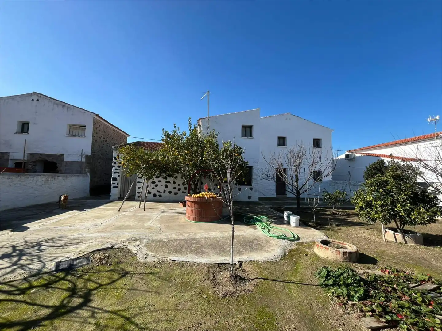 Jardín de Casa o chalet en venta en Campo Lugar con Terraza y Balcón