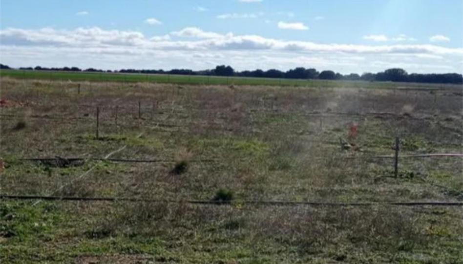 Foto 1 de Terreno en venta en Cm-1001, 11, Matarrubia, Guadalajara