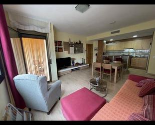 Living room of Flat to rent in L'Ampolla  with Air Conditioner, Heating and Terrace