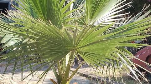 Country house to rent in Carrer Cami del Pi Gros, 18, Urbanitzacions del Nord, Girona - image 4 Photo 4 of Country house to rent in Carrer Cami del Pi Gros, 18, Urbanitzacions del Nord, Girona