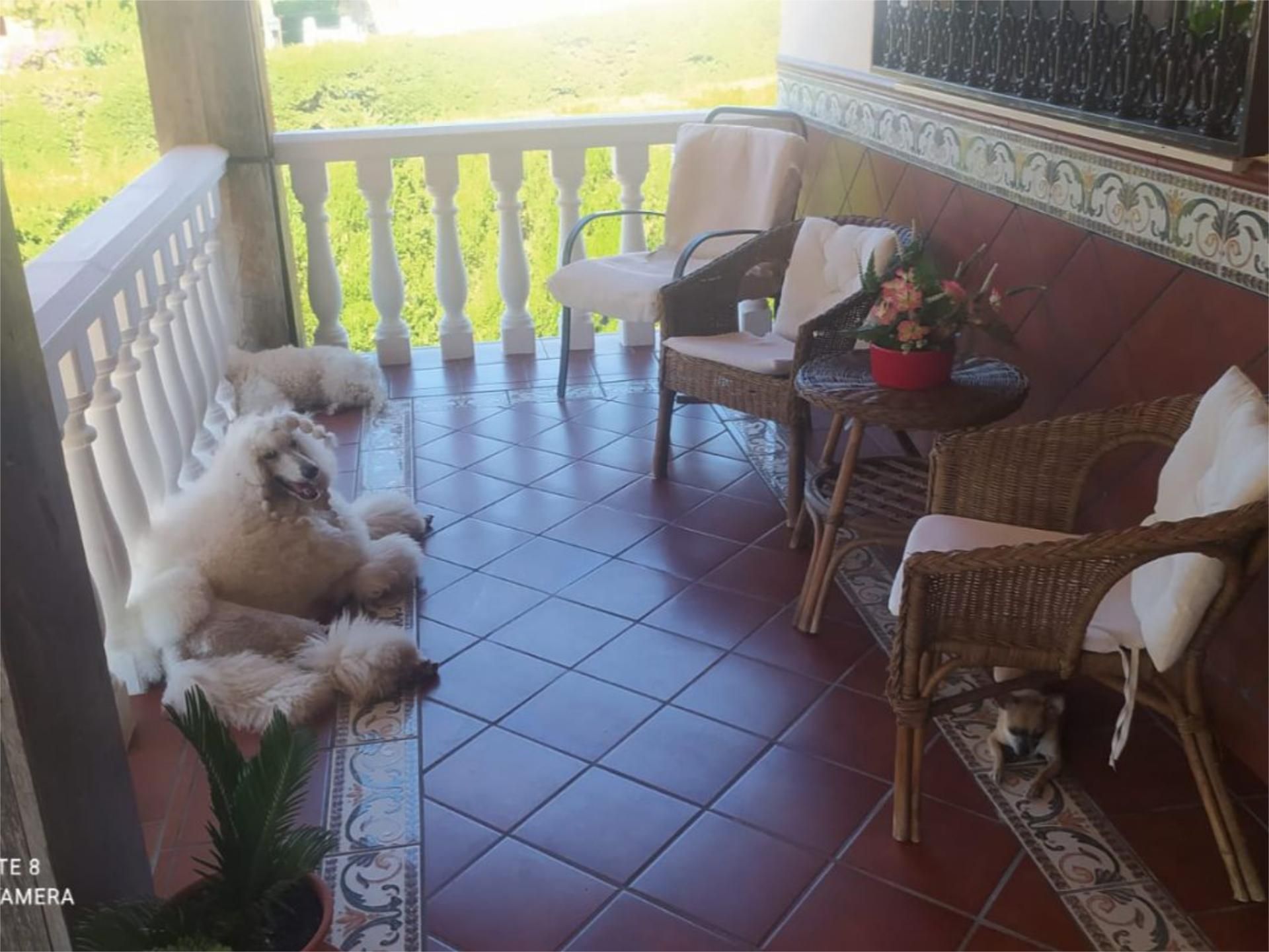 Terrace of House or chalet for sale in Lucena  with Air Conditioner, Terrace and Swimming Pool