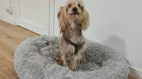 Àtic per a compartir a Gran Via de Les Corts Catalanes, 534, Sant Antoni, Barcelona - imatge 5 Foto 5 de Àtic per a compartir a Gran Via de Les Corts Catalanes, 534, Sant Antoni, Barcelona