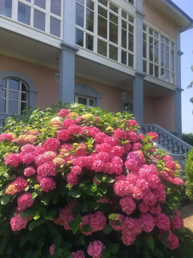 Casa o xalet en venda a Sevares, 17, Piloña Jardí de Casa o xalet en venda en Piloña amb Terrassa i Balcó