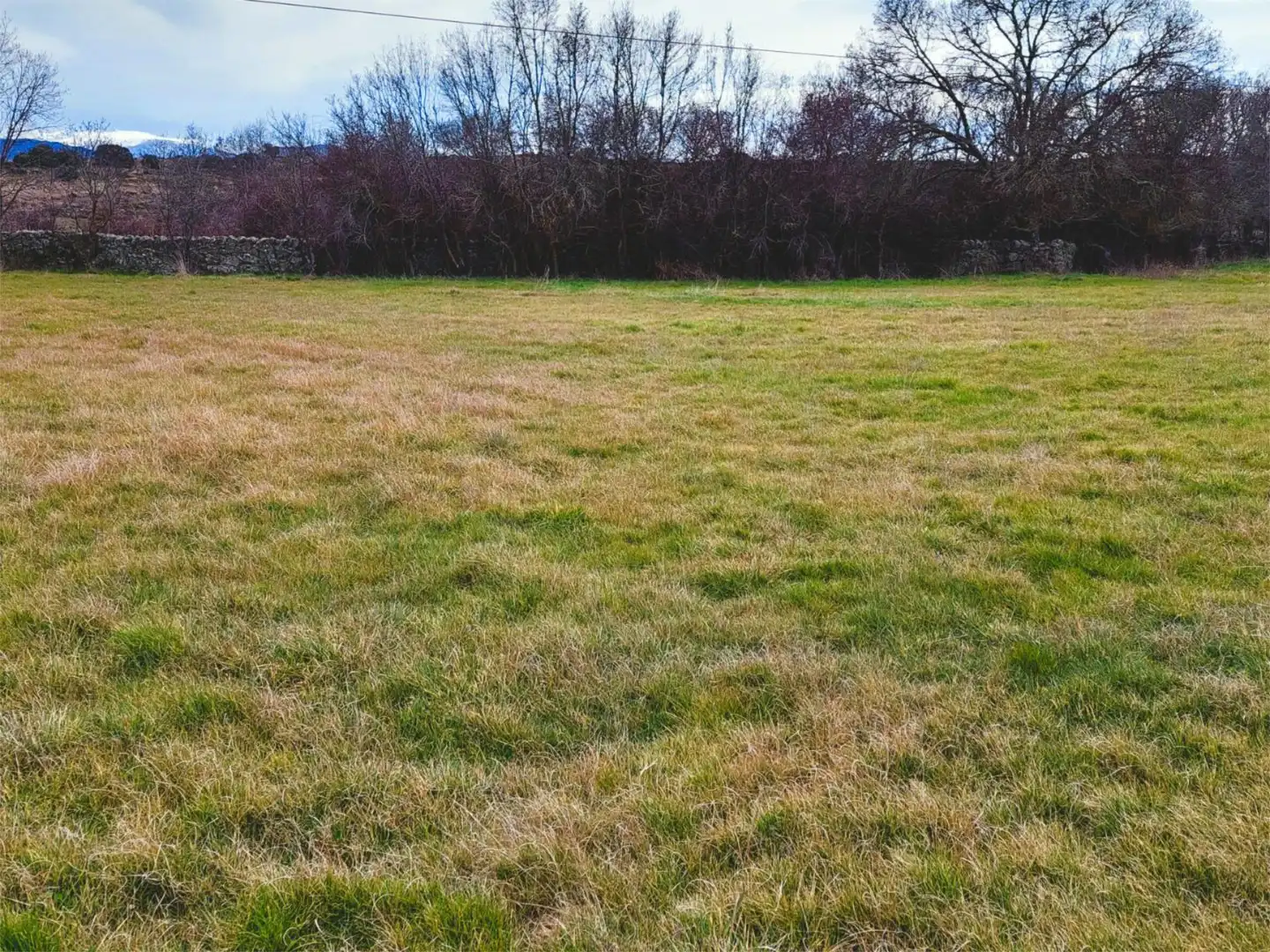 Non-constructible Land for sale in SA-102, 33, Puente del Congosto Non-constructible Land for sale in Puente del Congosto