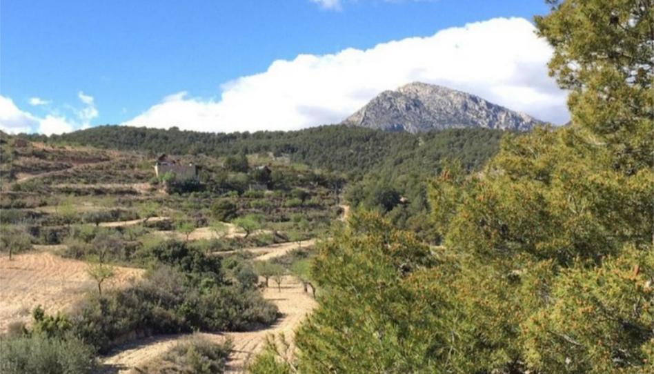 Urbanitzable en venda a Calle Juan Bautista, 32b, Alhama de Murcia ciudad, Murcia - imatge 1 Foto 1 de Urbanitzable en venda a Calle Juan Bautista, 32b, Alhama de Murcia ciudad, Murcia