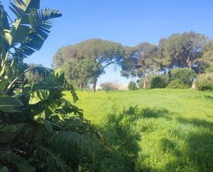 Urbanitzable en venda en Chiclana de la Frontera