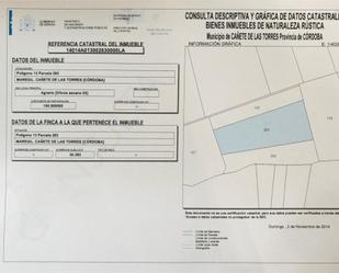 Land for sale in Cañete de las Torres