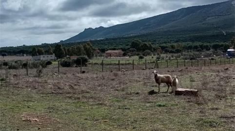 Finca rústica en venda a Calle Asdrúbal, 49, Carretera de Córdoba - Libertad, Ciudad Real - imatge 2 Foto 2 de Finca rústica en venda a Calle Asdrúbal, 49, Carretera de Córdoba - Libertad, Ciudad Real