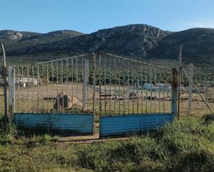 Finca rústica en venda en Puertollano