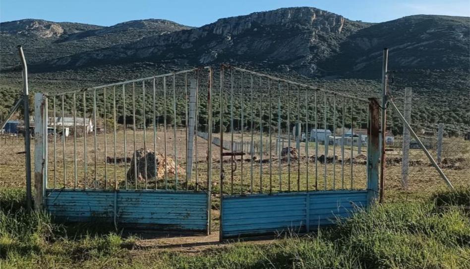 Finca rústica en venda a Calle Asdrúbal, 49, Carretera de Córdoba - Libertad, Ciudad Real - imatge 1 Foto 1 de Finca rústica en venda a Calle Asdrúbal, 49, Carretera de Córdoba - Libertad, Ciudad Real