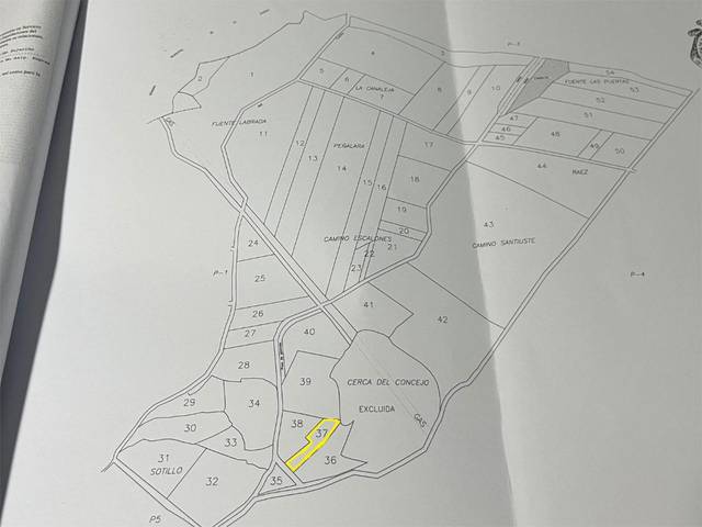 Terreno no urbanizable en Venta en Calle Ejido, 5 en Pelayos del Arroyo