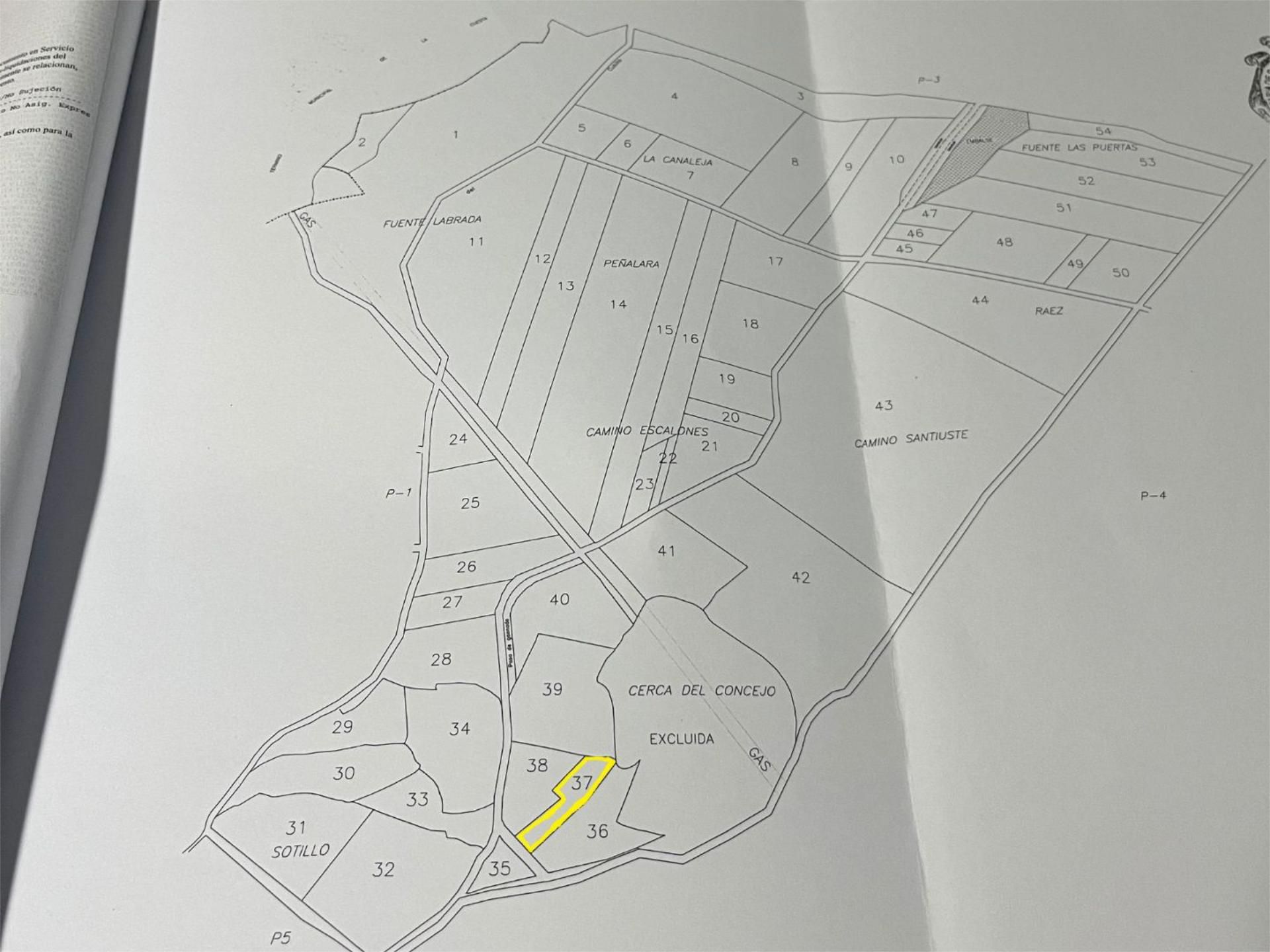 Non-constructible Land for sale in Pelayos del Arroyo