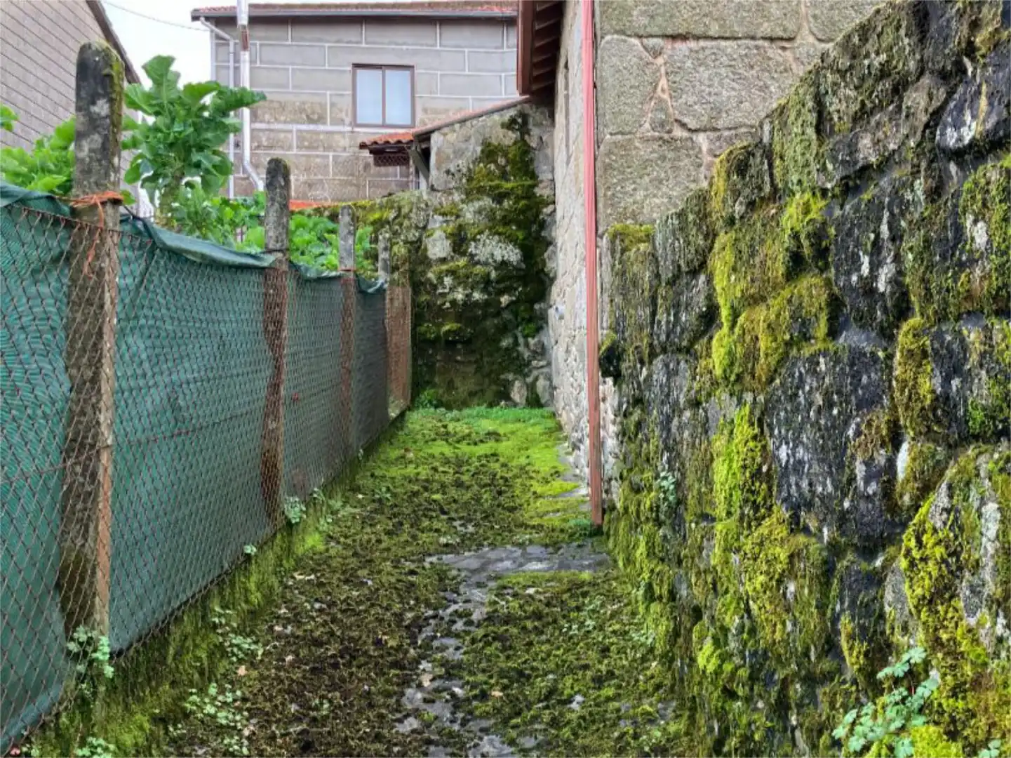 Pis en venda a Caseriu San Pedro, 4, Vilamarín Vista exterior de Pis en venda en Vilamarín