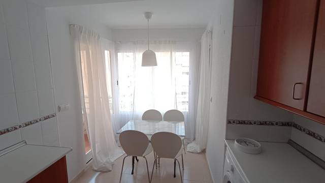 Piso en Alquiler en Avinguda d'Elx, 109 en Palmeral