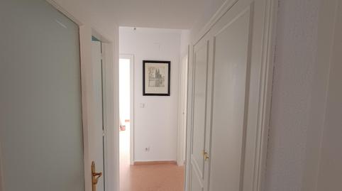 Photo 2 of Flat to rent in Avinguda D'elx, 109, Palmeral, Alicante