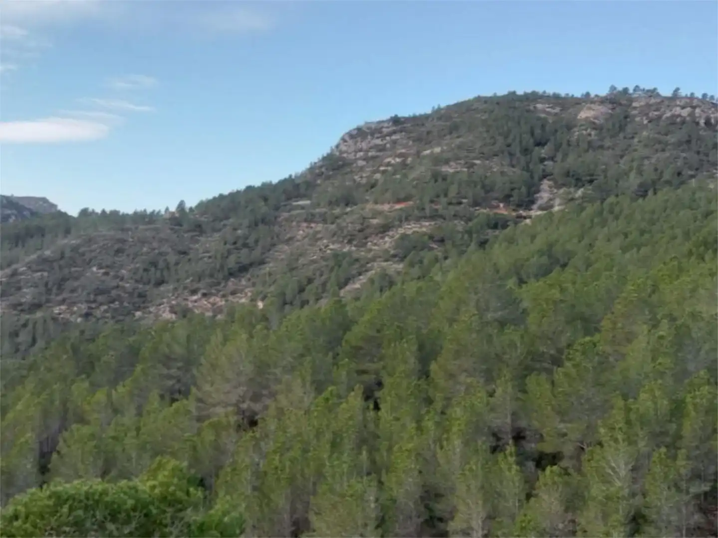 Finca rústica de alquiler en Carrer de la Magnòlia, 22, Pratdip Finca rústica de alquiler en Pratdip