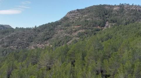 Foto 4 von Country house zum Verkauf in Carrer de la Magnòlia, 22, Pratdip, Tarragona