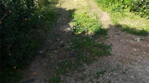 Photo 5 of Industrial buildings to rent in Pago Mascuñar, 16, Urbanización Santa Rosa, Málaga