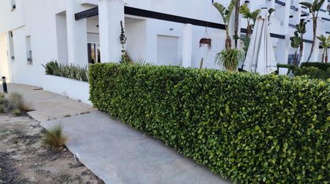 Planta baja for sale in Avenida Premios Principe de Asturias, 41, Terrazas de la Torre Golf, Murcia - image 2 Photo 2 of Planta baja for sale in Avenida Premios Principe de Asturias, 41, Terrazas de la Torre Golf, Murcia