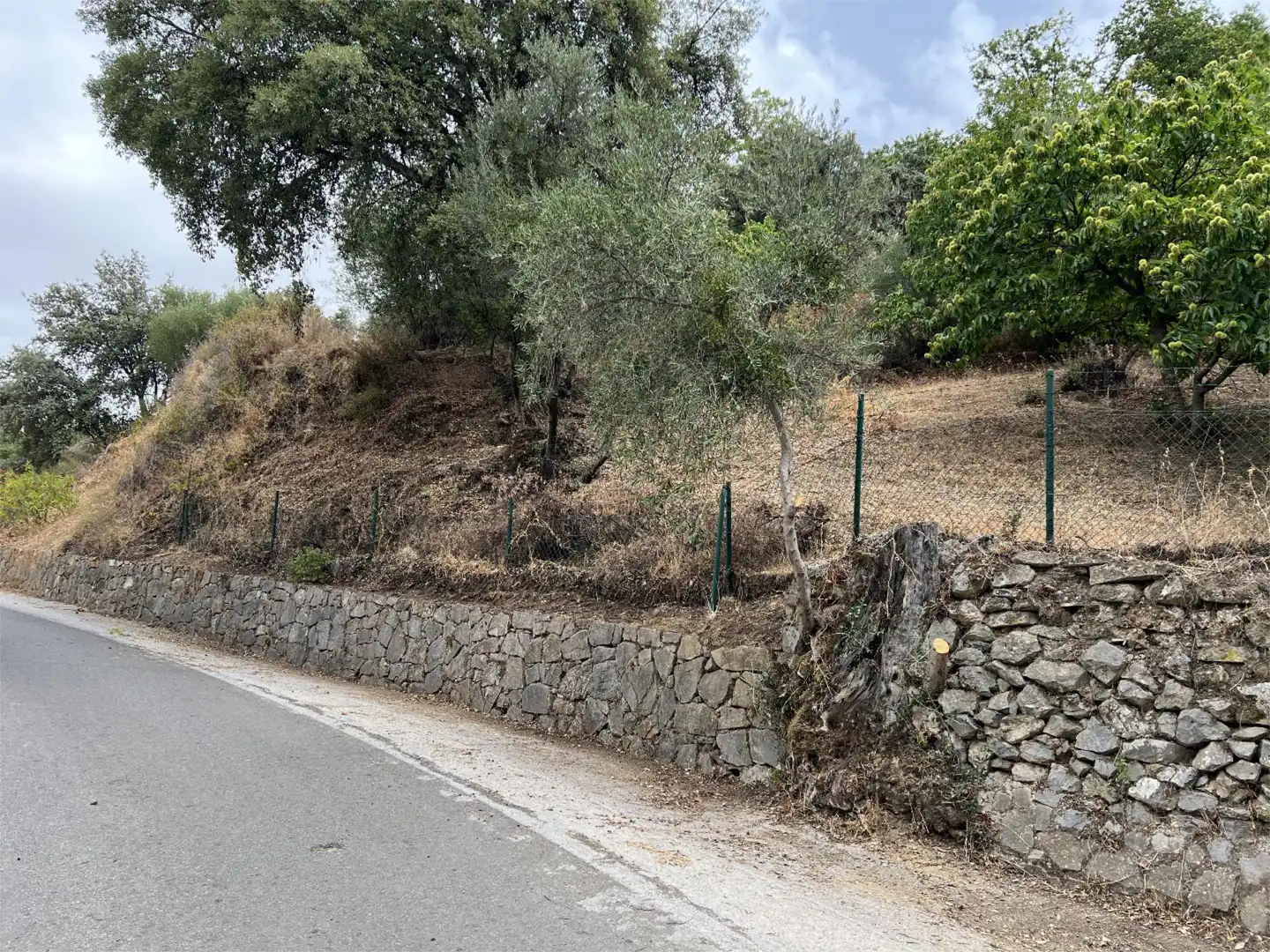 Terreno en venta en Calle del Calvario, 45, Parauta Terreno en venta en Parauta