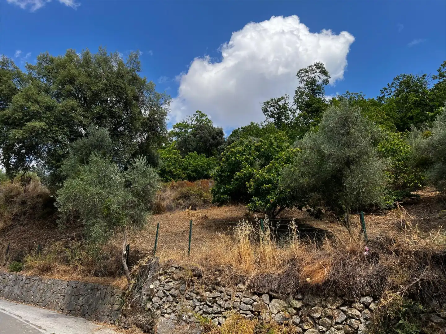 Terreno en venta en Calle del Calvario, 45, Parauta Terreno en venta en Parauta